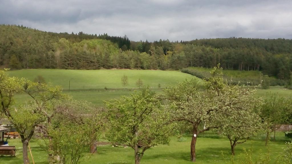 Mija Apartman S Vinnym Sklipkem, Zahradou A Grilem Kájov Exterior photo